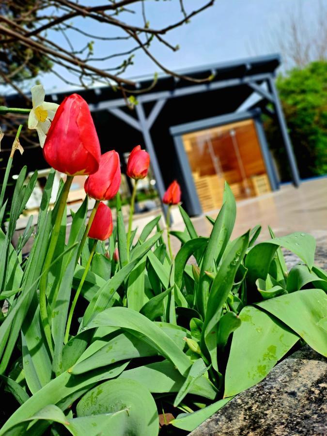 Fuege Villa Luxury & Wellness Balatonfüred Екстериор снимка